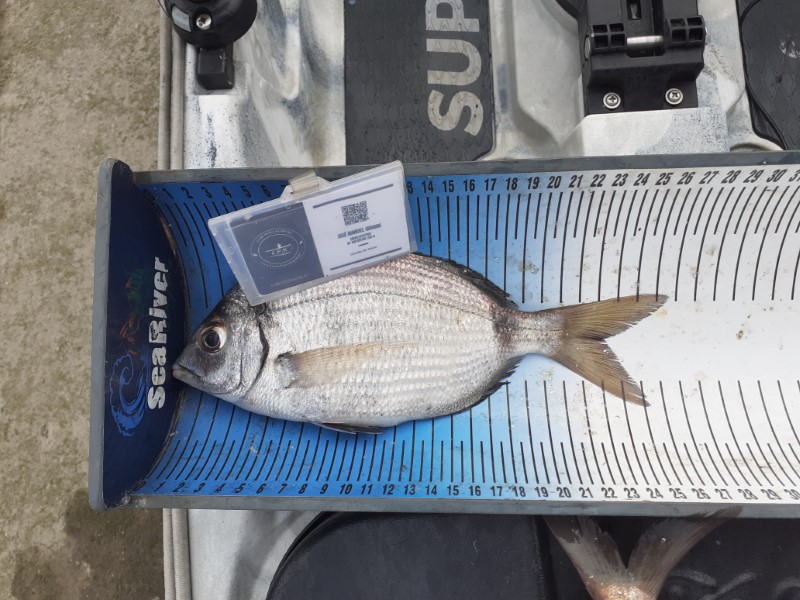 Fish Measure Picture